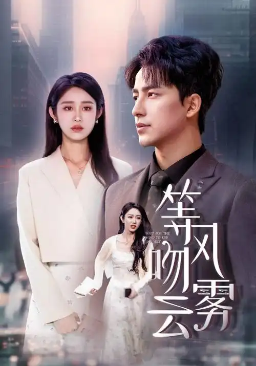 铜锣湾旧事 剧集海报